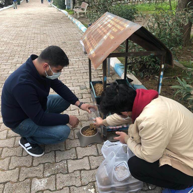 AK Parti Datça Gençlik Kolları'ndan sokak hayvanları için mama desteği