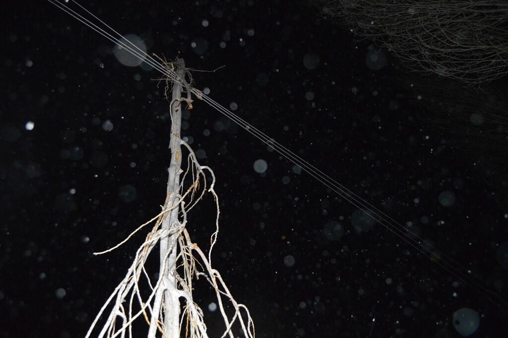 Afyonkarahisar'da rüzgarın etkisiyle kırılan ağaç dalı mahalleyi elektriksiz bıraktı