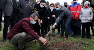 Çeşme'de üreticilere kuraklığa dayanıklı keçiboynuzu fidanı dağıtıldı