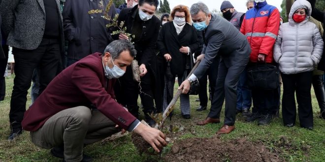 Çeşme'de üreticilere kuraklığa dayanıklı keçiboynuzu fidanı dağıtıldı