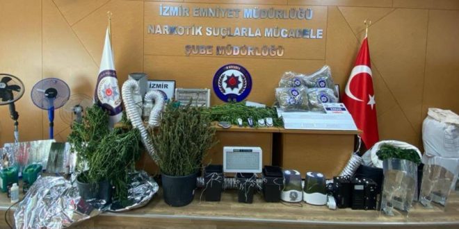 İzmir'de Hint keneviri yetiştirmek için özel düzenek kurmuşlar