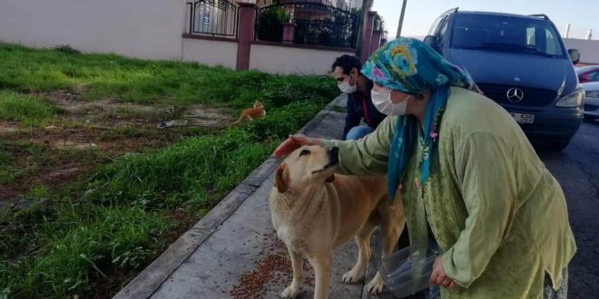 İzmir'de kısıtlama günlerinde sokak hayvanları için yaklaşık 100 ton mama dağıtıldı