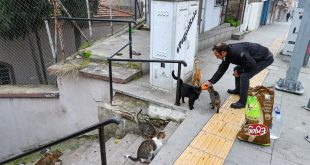 İzmirli motosikletli kurye hafta sonları aç sokak hayvanları için yollara düşüyor