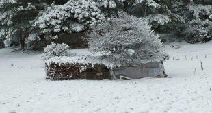 Manisa'da kar yağışı etkisini sürdürüyor