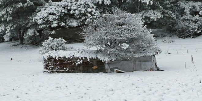 Manisa'da kar yağışı etkisini sürdürüyor