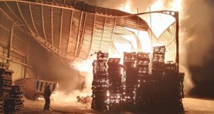 Manisa'da salça fabrikasındaki yangın söndürüldü