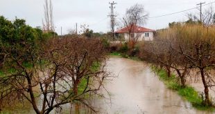 Muğla'da aşırı sağanak nedeniyle tarım arazileri sular altında kaldı