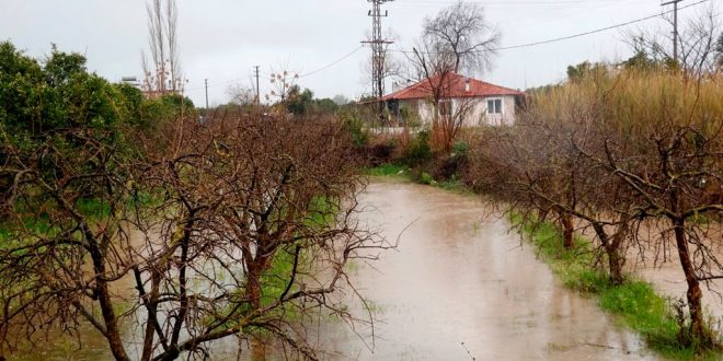 Muğla'da aşırı sağanak nedeniyle tarım arazileri sular altında kaldı