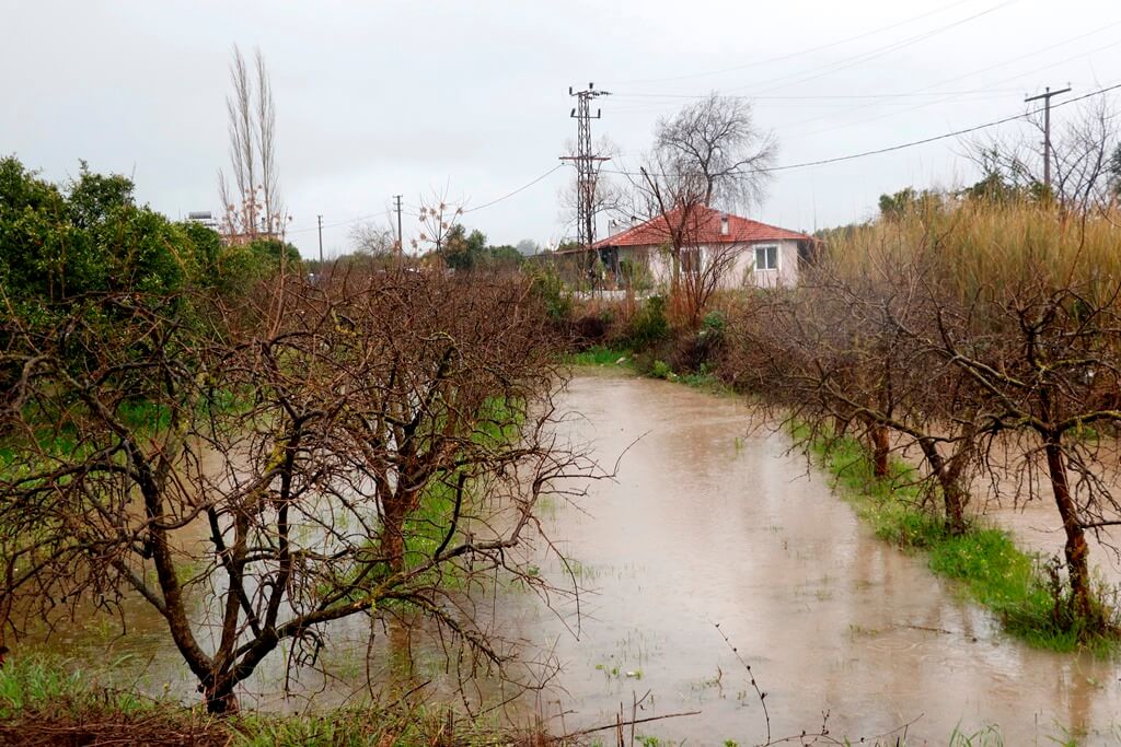 Muğla'da aşırı sağanak nedeniyle tarım arazileri sular altında kaldı