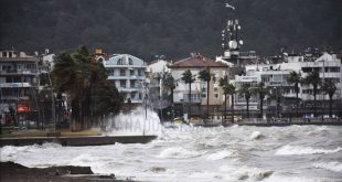 Muğla'da kuvvetli rüzgar bazı ağaçları ve elektrik direklerini devirdi