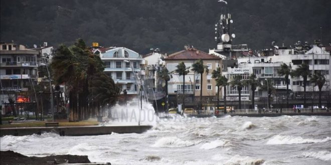 Muğla'da kuvvetli rüzgar bazı ağaçları ve elektrik direklerini devirdi