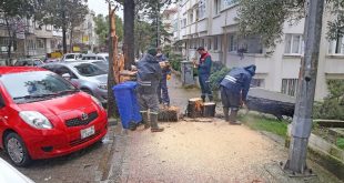 Muğla'da kuvvetli rüzgar ve sağanak etkili oluyor