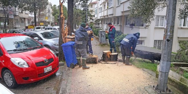 Muğla'da kuvvetli rüzgar ve sağanak etkili oluyor