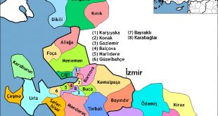 İzmir Haritası