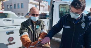 Manisa'da bulunan yaralı şahin, tedavi altına alındı