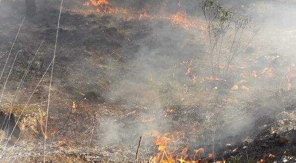 Muğla'da ormanlık alanda çıkan yangın söndürüldü