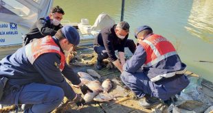 Tahtalı Barajı'nda balık avlayan 2 kişiye, 4 bin 916 lira ceza kesildi