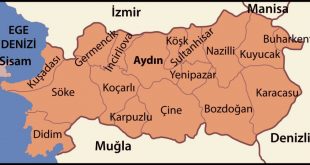 Aydın'ın ilçeleri nelerdir?