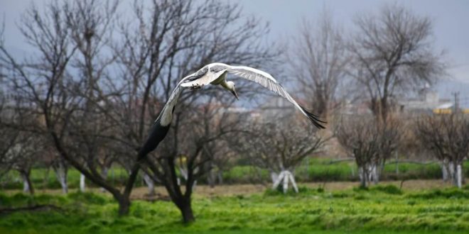 Turgutlu haber