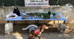 Jandarma'dan İzmir'in 6 İlçesinde uyuşturucu operasyonu