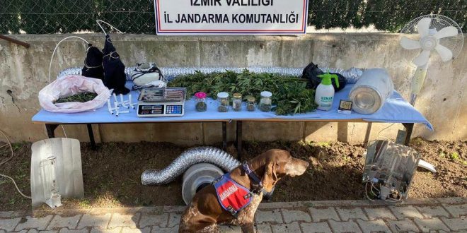 Jandarma'dan İzmir'in 6 İlçesinde uyuşturucu operasyonu