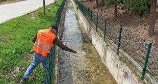 Kütahya'nın Gediz ilçesinde larva öncesi haşere ve sineklere karşı ilaçlama yapıldı