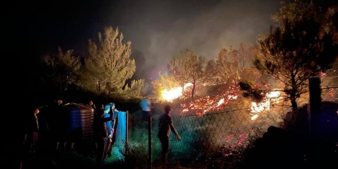 Muğla'nın Milas ilçesinde çıkan orman yangını söndürüldü