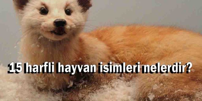 15 harfli hayvan