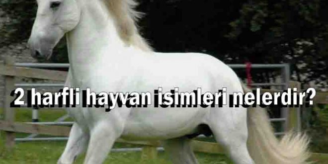 2 harfli hayvan