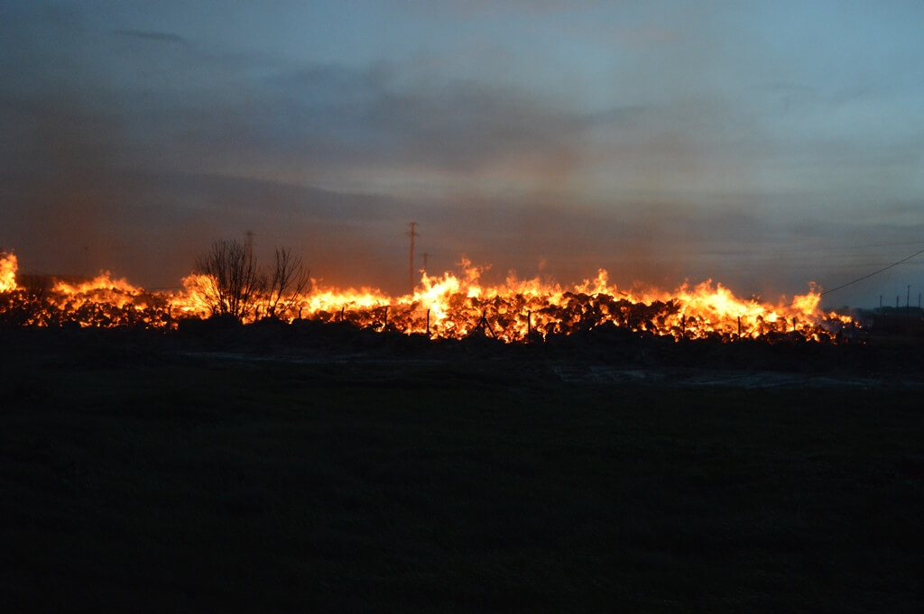Afyonkarahisar'da biyokütle enerji santralinde yangın çıktı