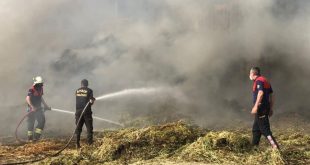 Aydın'da Kuyucak ilçesinde çiftlikte çıkan yangında yaklaşık 200 ton saman zarar gördü