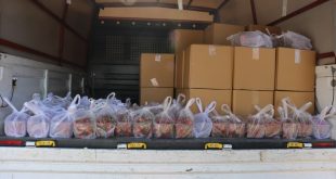 Bodrum'da Belediye üreticiden aldığı sebze ve meyveler ihtiyaç sahiplerine ulaştırılıyor