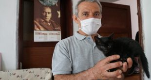 Bodrum'da mahsur kaldığı sarnıçtan kurtarılan kedi yavrusunu belediye personeli sahiplendi