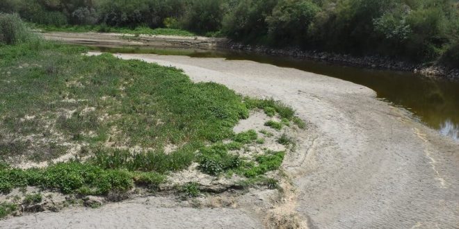 Büyük Menderes Nehri'nin Aydın kısmındaki bazı bölümlerinde sular çekildi