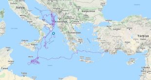 Caretta Tuba yaklaşık iki yılda 10 bin kilometre yol aldı