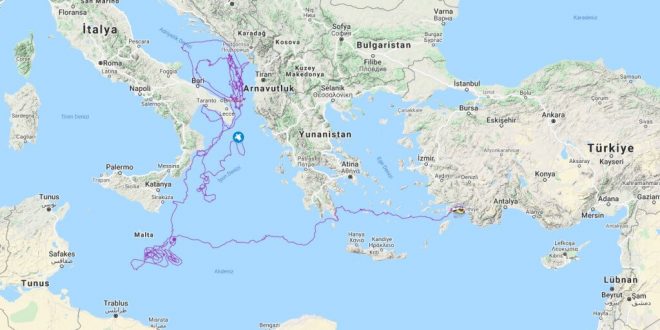 Caretta Tuba yaklaşık iki yılda 10 bin kilometre yol aldı