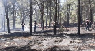 Denizli'de 3 dekarlık alanda etkili olan orman yangını söndürüldü