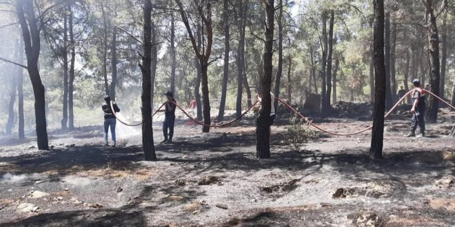 Denizli'de 3 dekarlık alanda etkili olan orman yangını söndürüldü