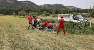 Denizli'de su kuyusuna düşen iki çakal kurtarıldı.