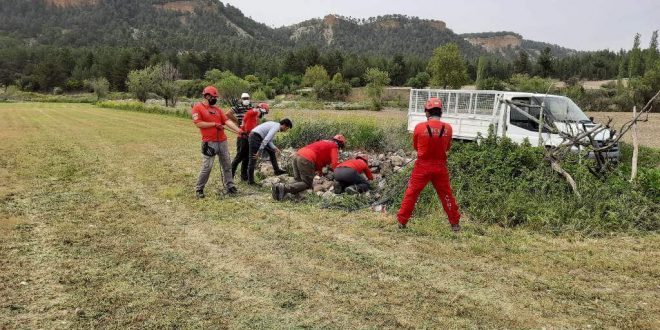 Denizli'de su kuyusuna düşen iki çakal kurtarıldı.