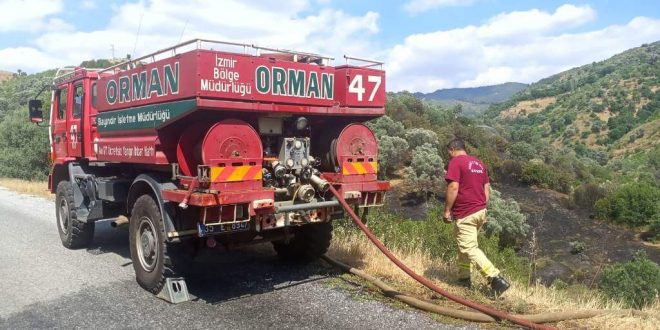 İzmir Beydağ'da çıkan yangın zeytin ağaçlarına zarar verdi