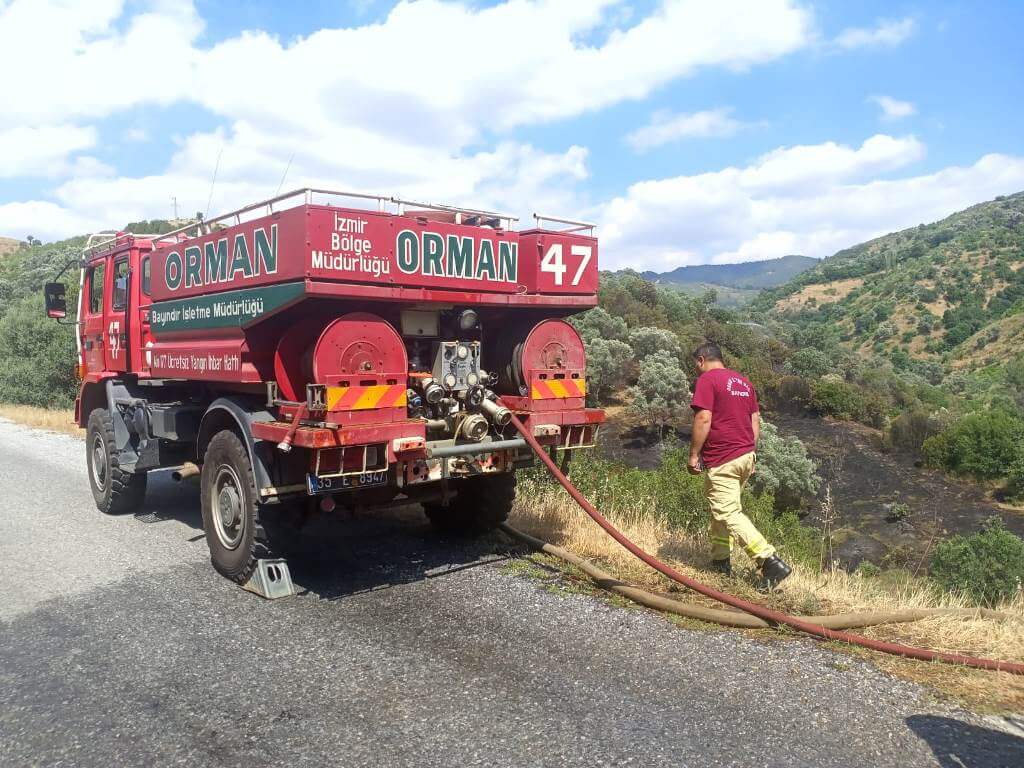 İzmir Beydağ'da çıkan yangın zeytin ağaçlarına zarar verdi