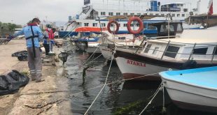 İzmir Körfezinde oluşan ve görüntü kirliliği oluşturan deniz marulları temizlendi