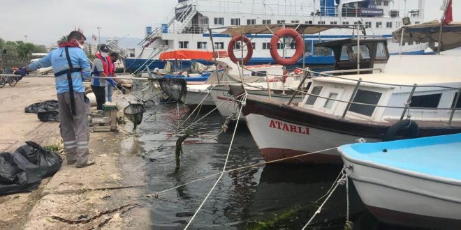 İzmir Körfezinde oluşan ve görüntü kirliliği oluşturan deniz marulları temizlendi