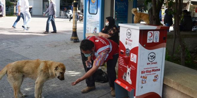 Kütahya’da sokak hayvanları "mamamatik" ile beslenecek