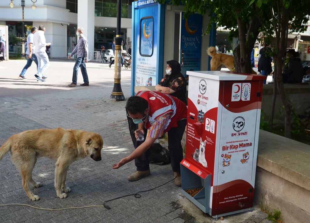 Kütahya’da sokak hayvanları "mamamatik" ile beslenecek