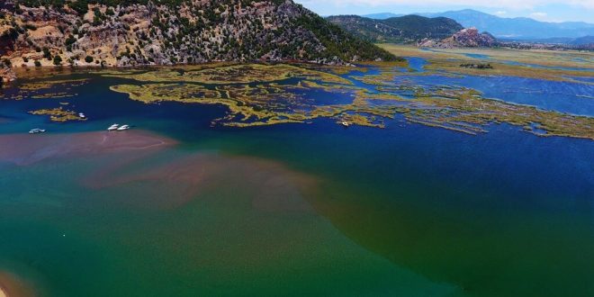 Labirent görünümlü Dalyan sazlıkları misafirlerini yine eşsiz bir yolculuğa çıkaracak