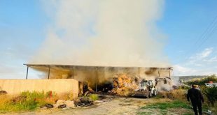 Manisa'da çiftlikte çıkan yangında 220 ton saman yandı