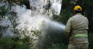 Manisa'da çıkan 2 ayrı orman yangınında 7 dönüm alan zarar gördü