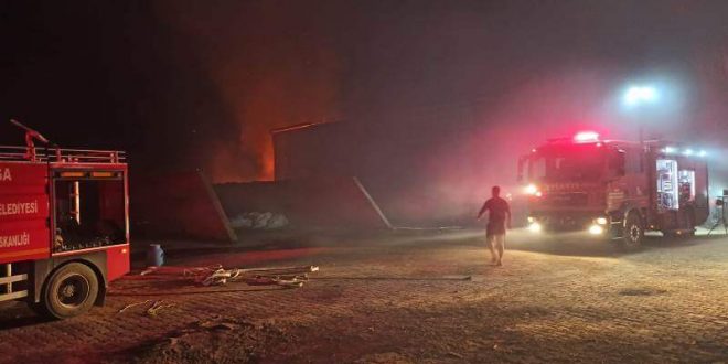Manisa'nın Şehzadeler ilçesinde besi çiftliğinde çıkan yangına müdahale ediliyor